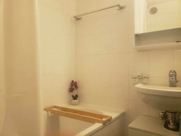 Spacieux 1.5pièce traversant avec balcon(Sous-Location 1007) 5