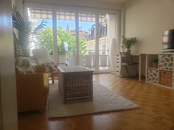 Spacieux 1.5pièce traversant avec balcon(Sous-Location 1007) 1