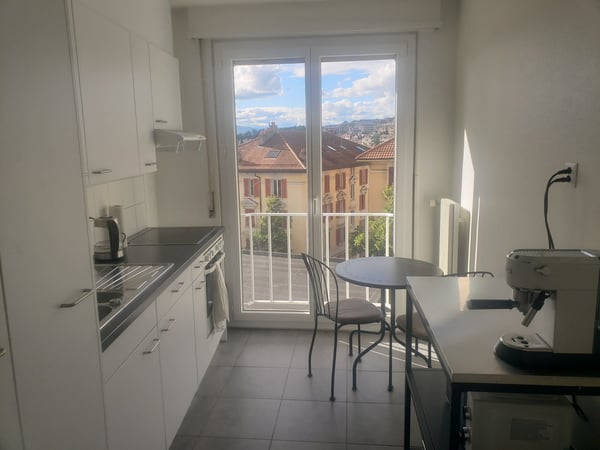 Spacieux 1.5pièce traversant avec balcon(Sous-Location 1007) 3