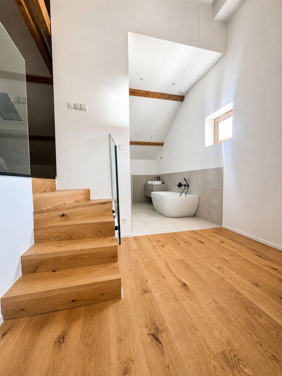 Appartement carouge 3