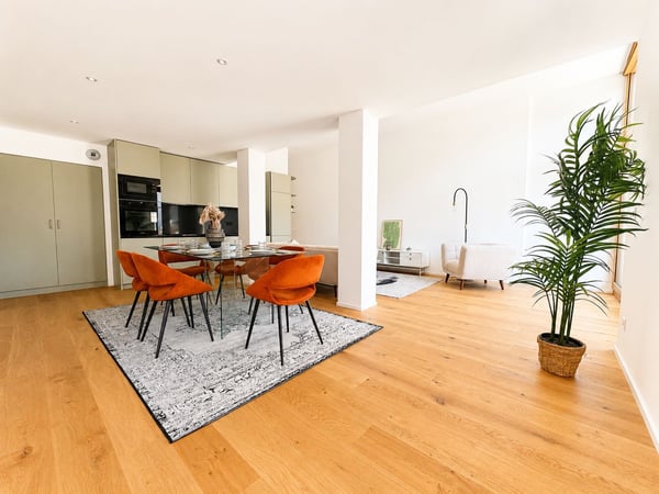 Appartement carouge 2