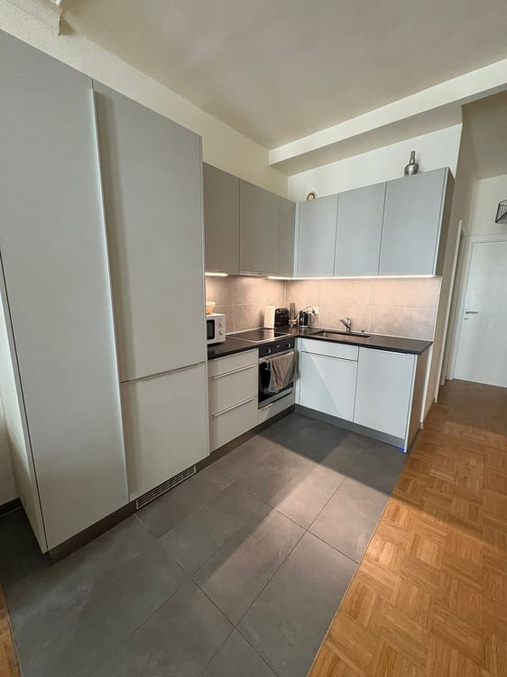 Appartement T3 avec balcon (2 chambres) (Servette 1202) 4