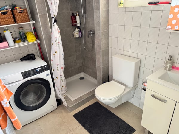 Appartement 2,5 pièces, reprise de bail 4