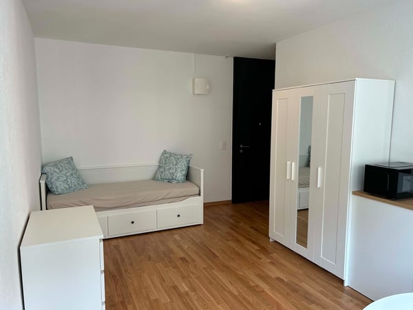 Sublet of a furnished apartment in Geneva 1Y renewable 3