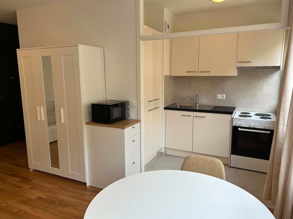 Sublet of a furnished apartment in Geneva 1Y renewable 5