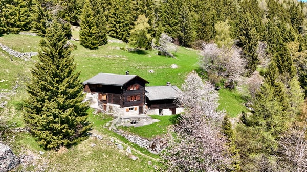 Réservé!! Véritable chalet coup de coeur avec vue 1