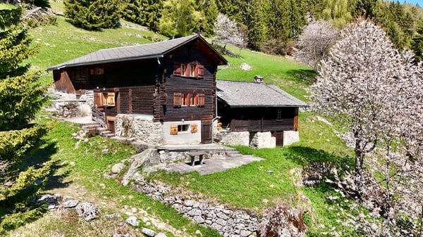 Réservé!! Véritable chalet coup de coeur avec vue 2
