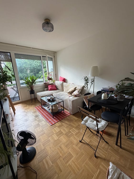 Appartement 3p à louer 1