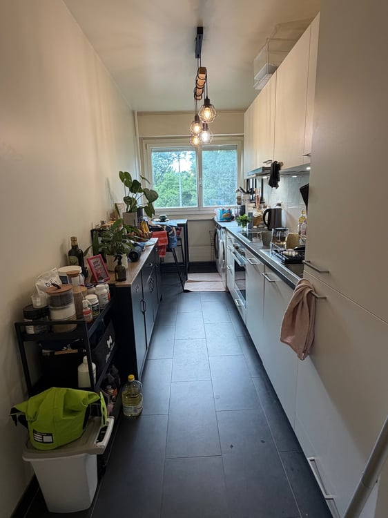 Appartement 3p à louer 5