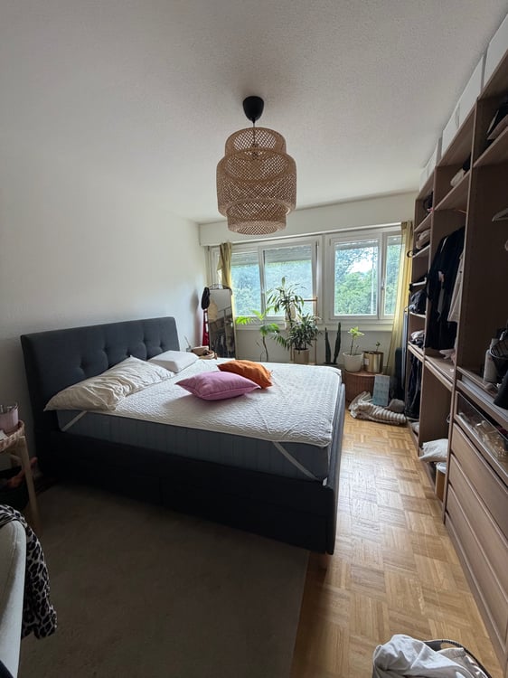 Appartement 3p à louer 3