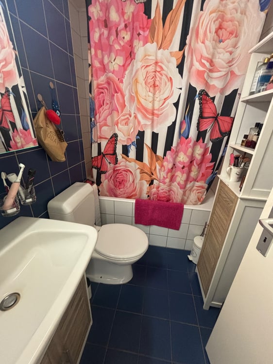 Appartement à louer 3