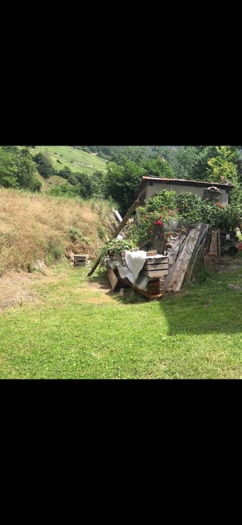 Maison parc grange 375m2 terrain jardin cave cabanon 3
