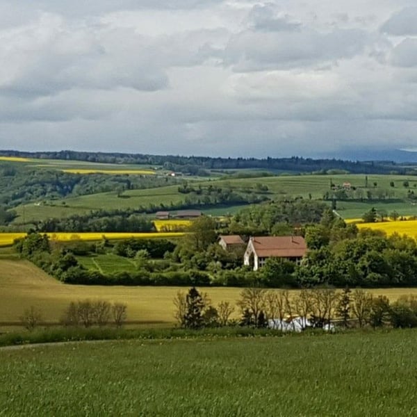 Deux-pièces dans un îlot paisible de verdure 1200.- par mois 5