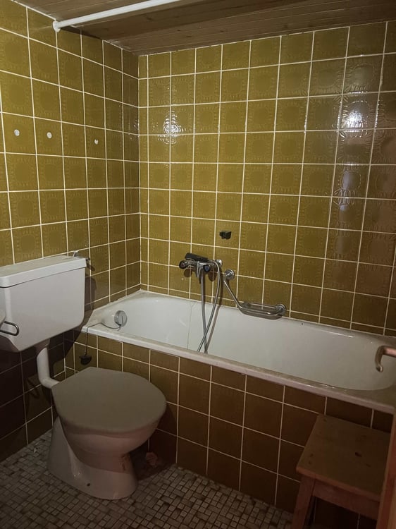 2 pièces avec cuisine, salle de bains + terrasse à Albinen. 4