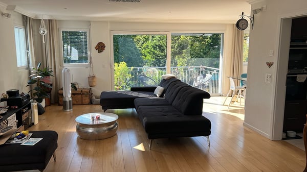 Superbe duplex 4.5 pièces avec terrasse, jacuzzi et jardin 3