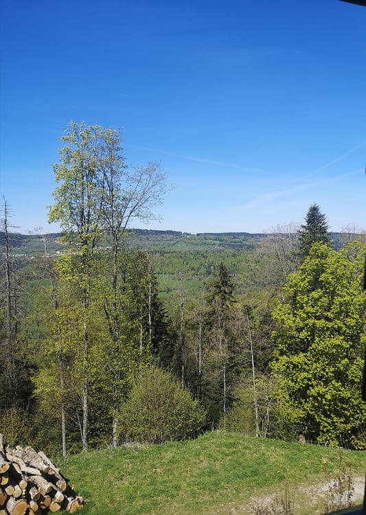 A vendre maison au noirmont 2