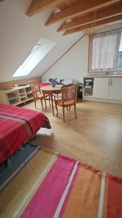 Studio avec mezzanine vue sur le Lac 2