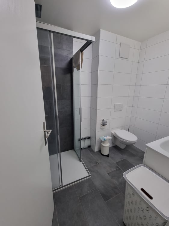 Appartement 2.5 pièces à louer à Vernayaz 3