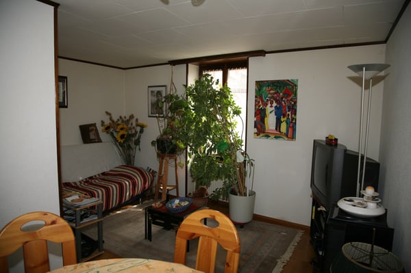 A louer Bex appartement atypique dans cadre de vie agréable 2