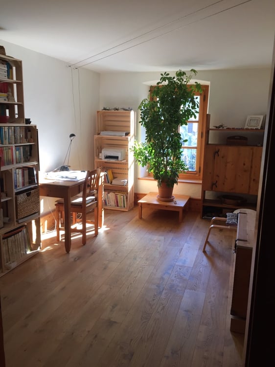 Bel et spacieux appartement à ST-TRIPHON Village 3