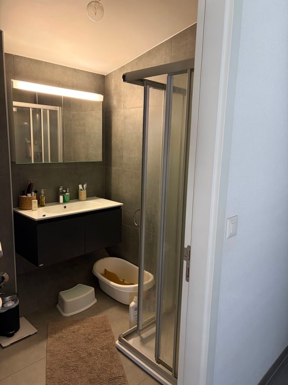 Appartement 5.5 pièces avec jardin à Aigle 5