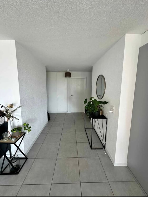 Appartement moderne et lumineux de 5.5 pièces à louer 4