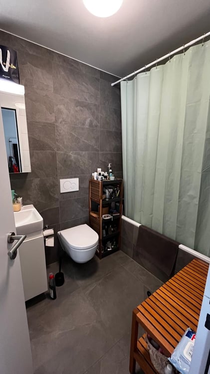 Appartement à louer - 3,5 P - 1er aout 5