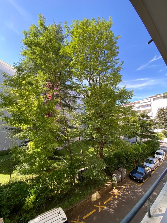Grande chambre | Genève | 1-14 juillet 2026 5
