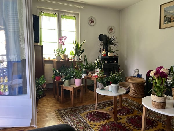 Maison familiale avec jardin et grands volumes à Porrentruy 3