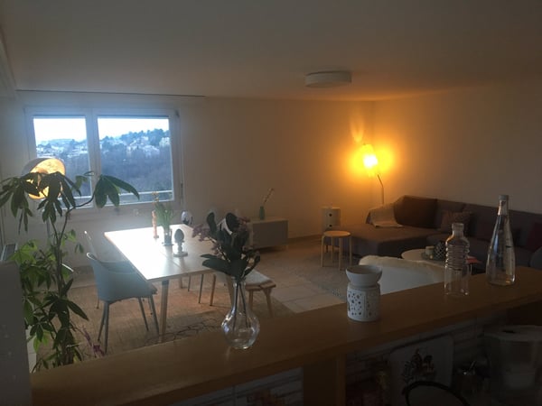 Lumineux 4 pièces - 100 m2 - vue - calme - bien situé 4