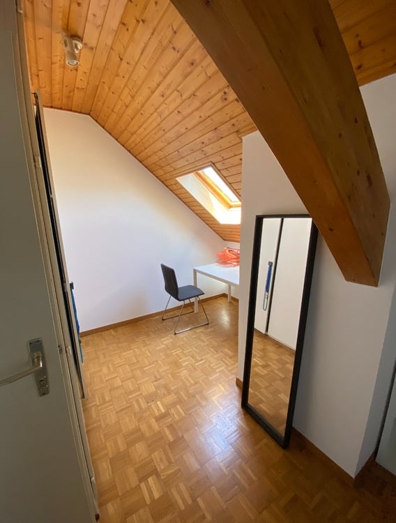 Chambre à louer à Carouge / Room to rent 2