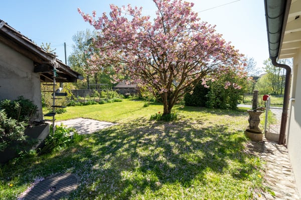 Grand 5.5pc avec terrasse et jardin 5