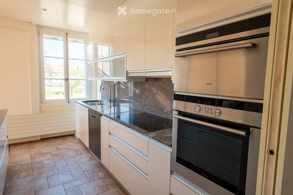 Grand 5.5pc avec terrasse et jardin 4