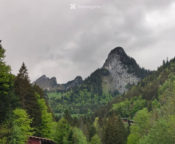 Torgon