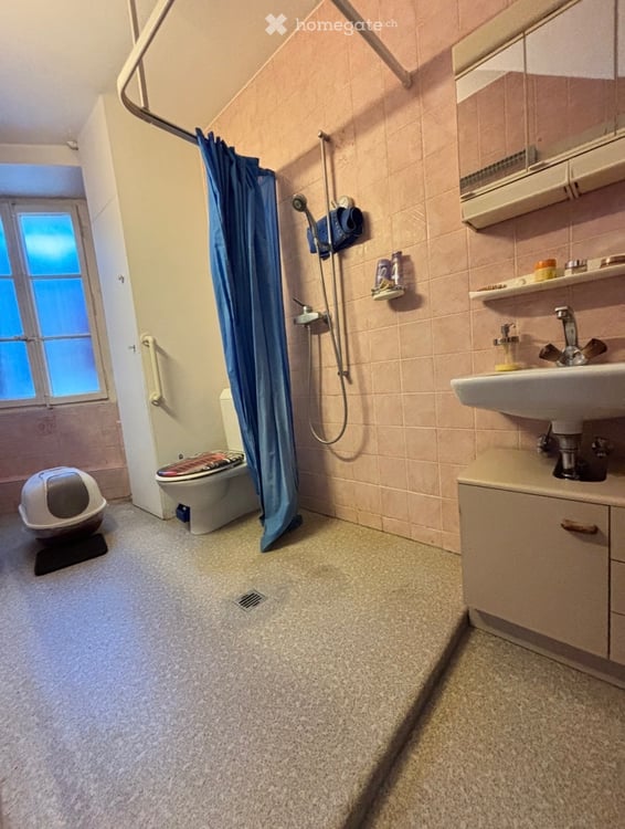Appartement 2,5 pièces à louer à Châtaignier/Fully 3