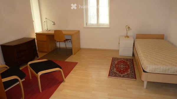 1 Zimmer Studio möbliert 1