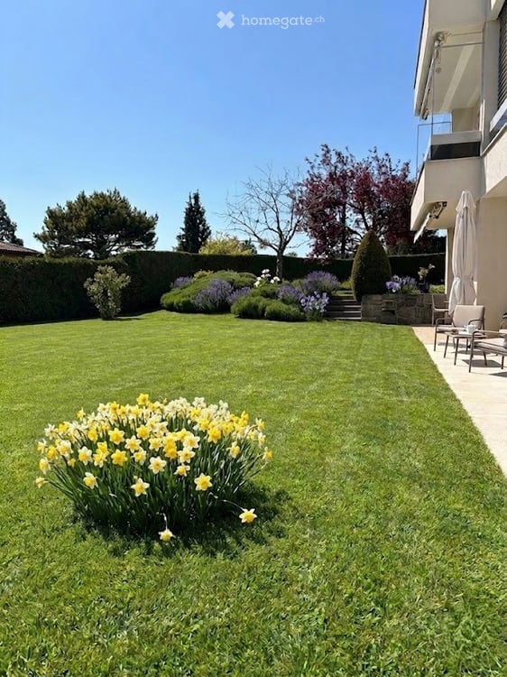 Appartement lumineux de 3,5 pces avec jardin env. 200m2 1