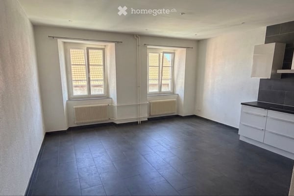 Lumineux 3,5 pièces moderne Rue de l'Industrie 1