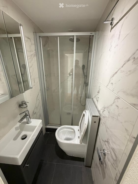 Apartement à louer 4.5 pieces 5