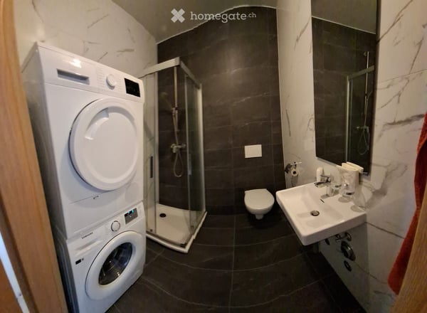 1 pièce meublée , app. neuf, moderne, 110m2, 2-éme étage 3