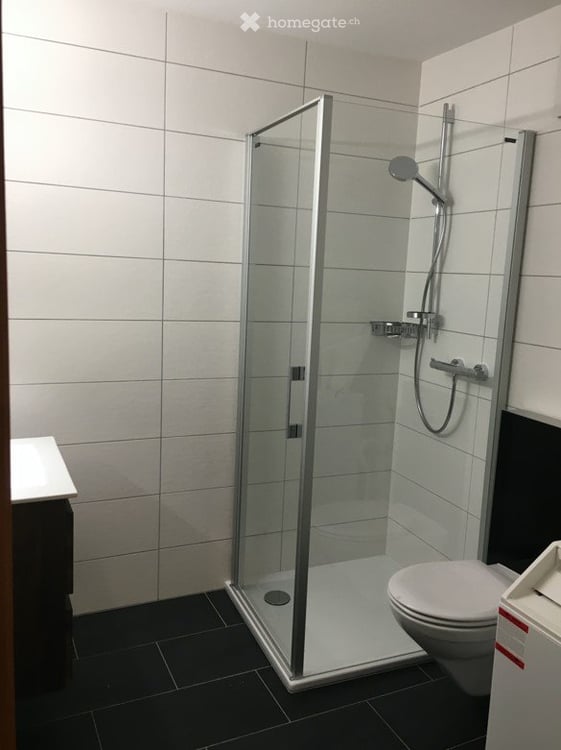 Helle und grosszügige 2-Zimmerwohnung mit offener Küche 2