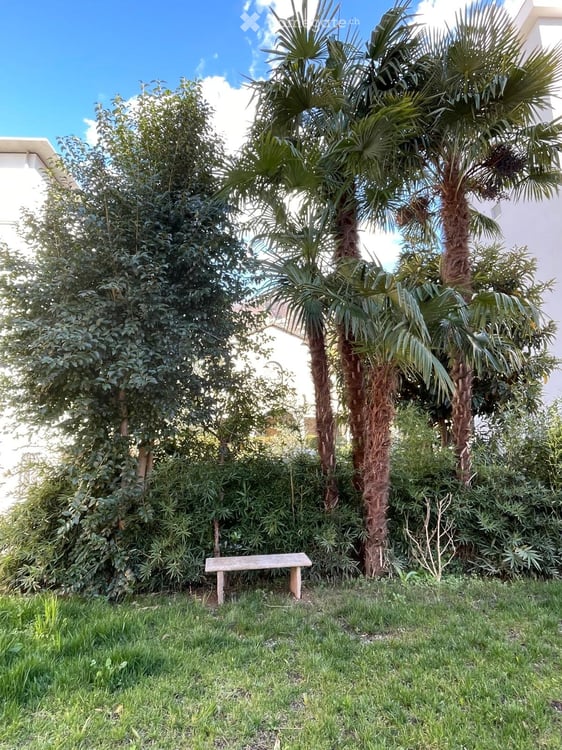 Camere per studenti in Ticino libere da settembre 2026 5