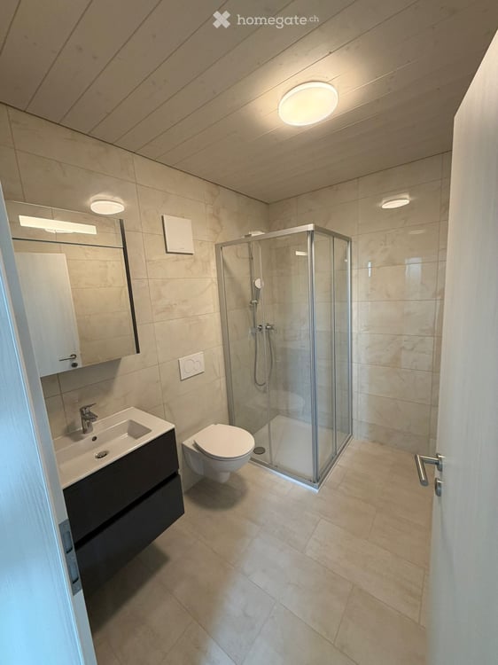 Appartement neuf et très lumineux disponible de suite 4