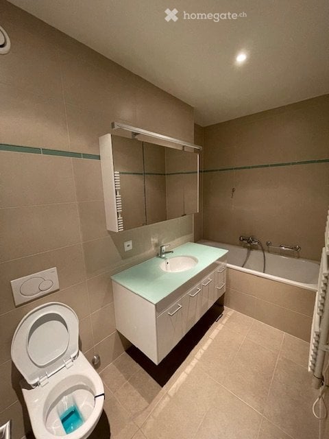 Carouge A VENDRE magnifique appartement 4p + box une place 2