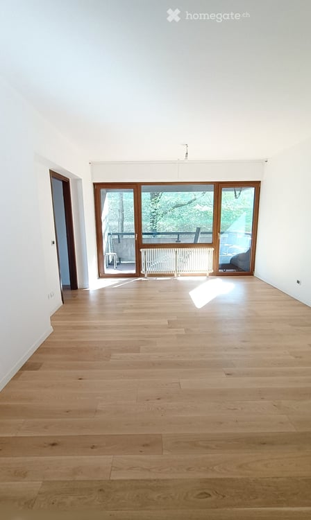 3.5-Zimmer-Wohnung in Pazzallo renoviert 2022 1