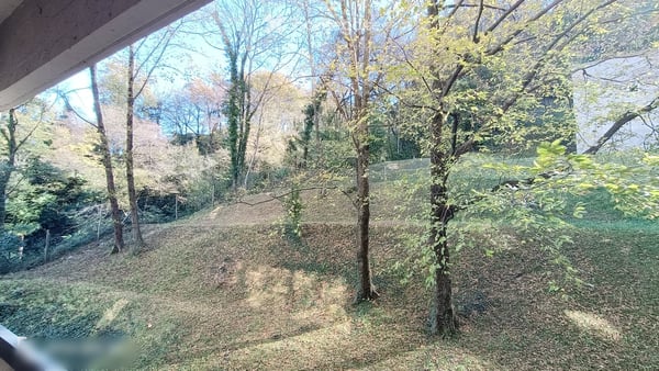3.5-Zimmer-Wohnung in Pazzallo renoviert 2022 5