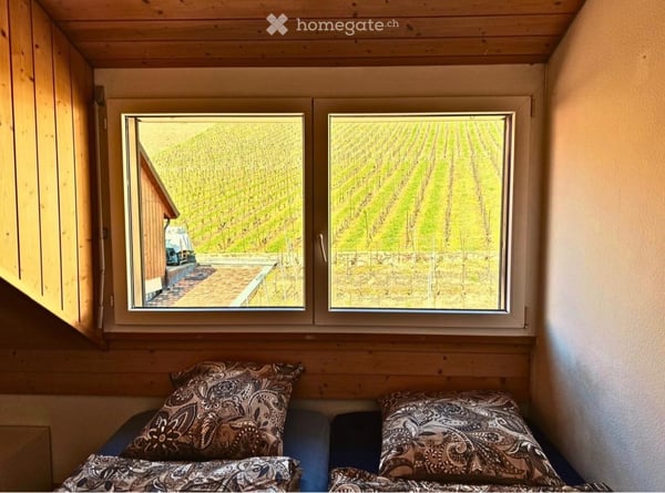 Colocataire Rivaz 2