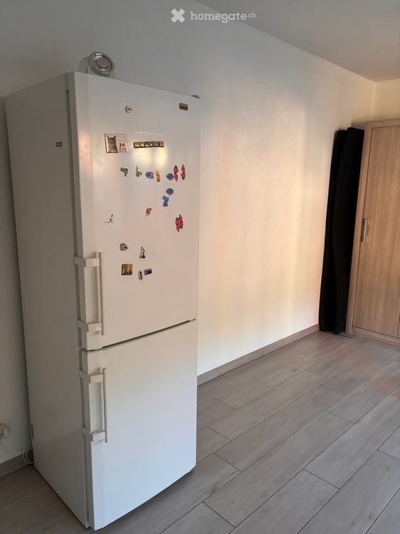 Sous location Forel 4