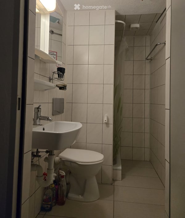 Studio im Zentrum von Steckborn TG zu vermieten 1