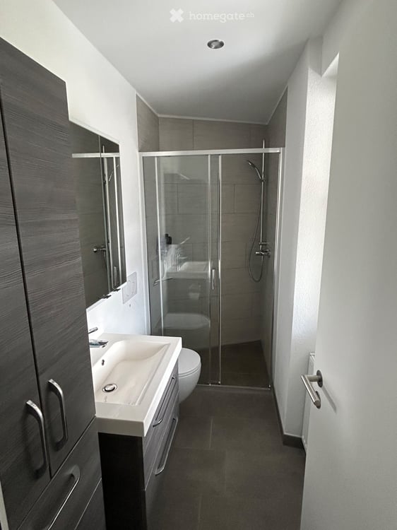 Moderne 2.5-Zimmerwohnung mit privatem Sitzplatz in Agarn 4